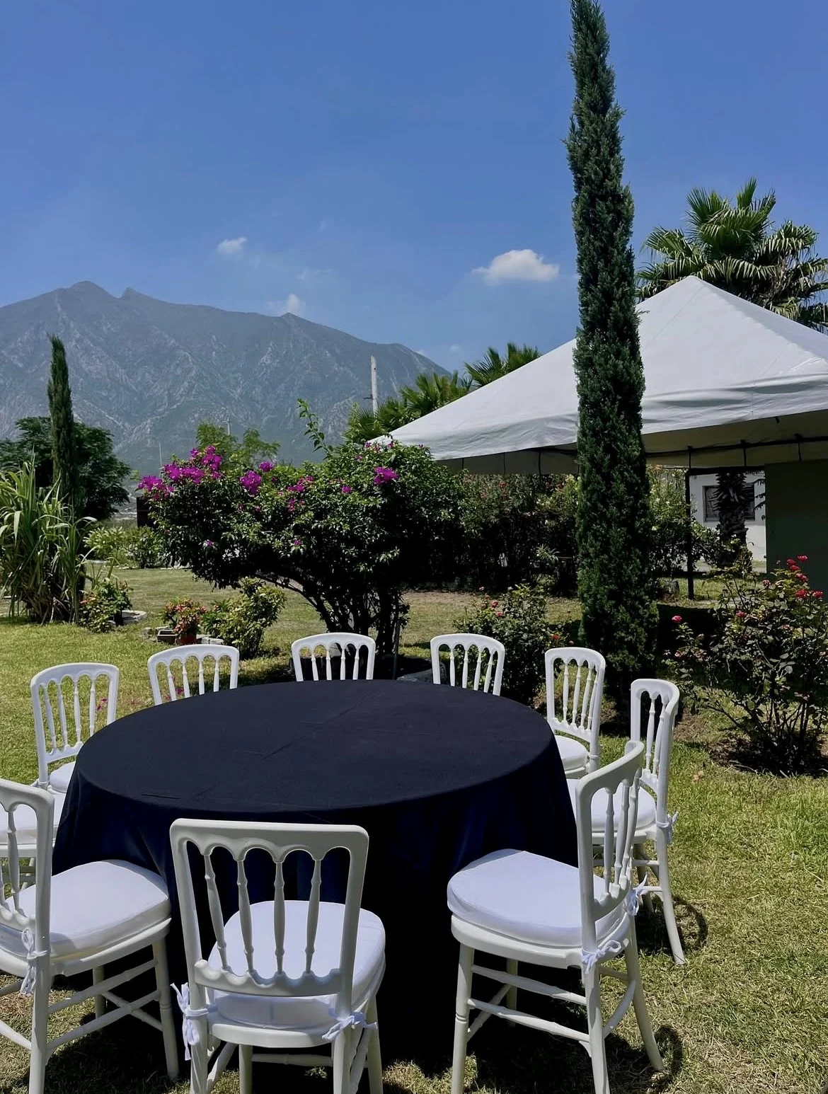 Mesa social en jardín