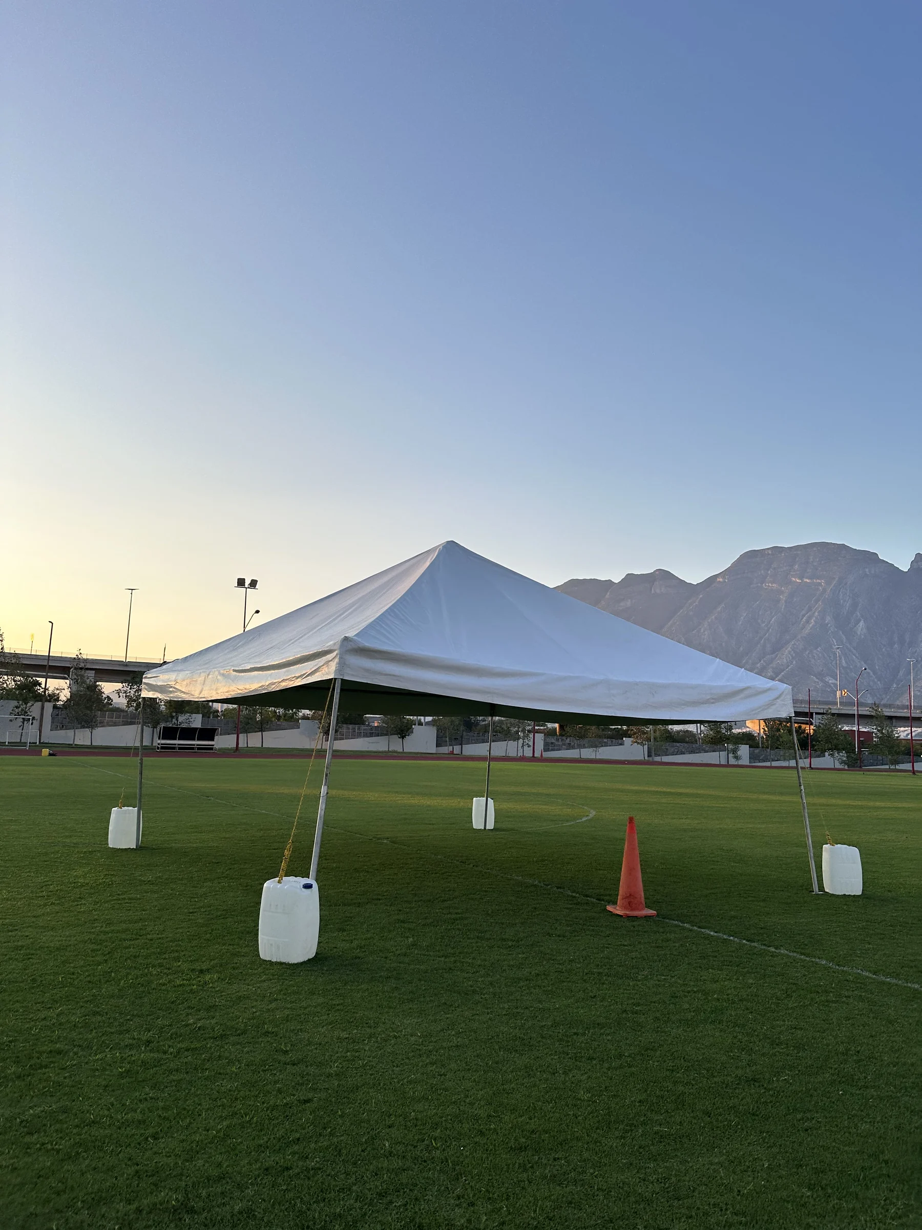 Toldo Celebrex